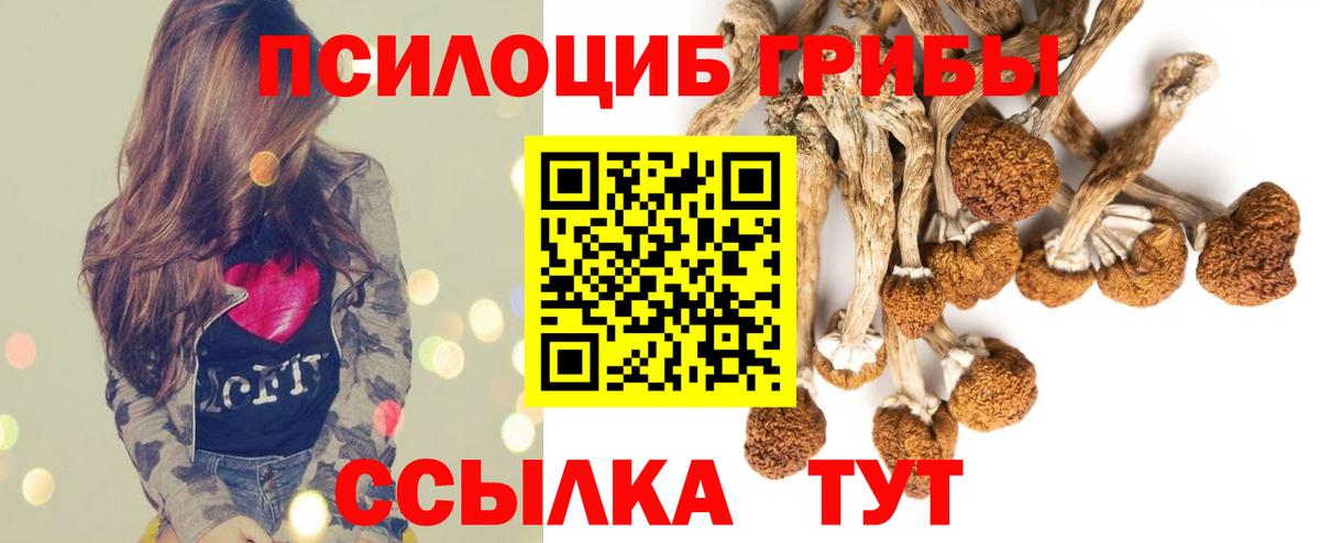 Псилоцибиновые грибы Cubensis  Вход с VPN  Псилоцибиновые грибы прущие грибы  Тула 