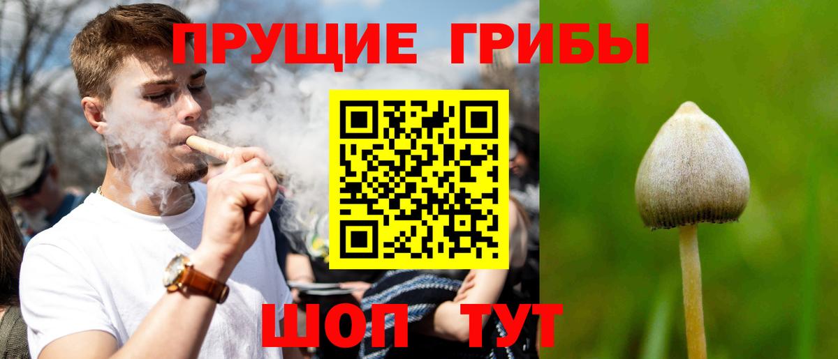 Псилоцибиновые грибы Psilocybine cubensis Тула